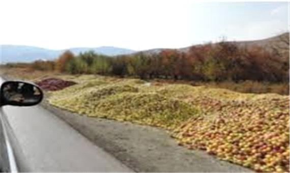 امسال با دپوکنندگان سیب در جاده های آذربایجان غربی برخورد می شود