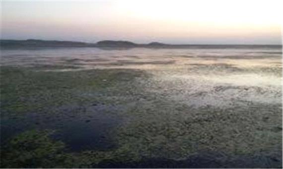 ایجاد دریاچه مصنوعی پروژه مهم بازآفرینی شهری پارس‌آباد