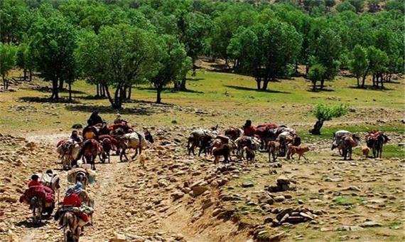 تولید 67 هزار تن فرآورده دامی توسط عشایر آذربایجان غربی