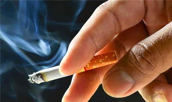 سیگار، پل ارتباطی برای استفاده از مواد دخانی دیگر