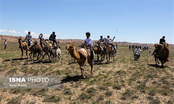مسیر تردد مناسب برای 949 خانوار عشایری آذربایجان غربی مهیا شد