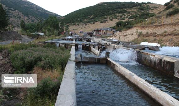 تولید ماهی در استان اردبیل به 10 هزار و 500 تن افزایش می‌یابد