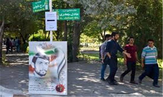 محوطه دانشگاه تبریز مزین به تصاویر شهدای دانشگاهی شد