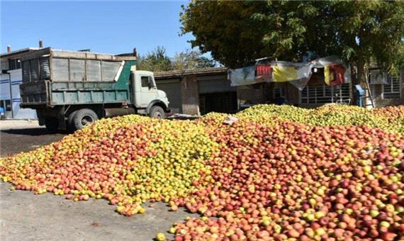 هر کیلو سیب صنعتی به قیمت حداقل 600 تومان خریداری می‌شود