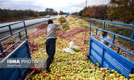 موضوع خرید حمایتی سیب صنعتی آذربایجان غربی پیگیری می‌شود