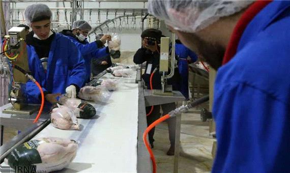 طرح ارتقای کیفیت بهداشتی گوشت مرغ در آذربایجان‌غربی آغاز شد