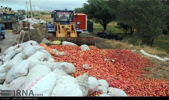 زخم بازار سیب بر دستان باغداران اهر