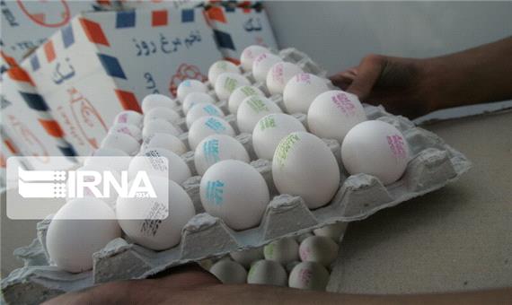 تولید 10 هزار تن تخم‌مرغ در اردبیل