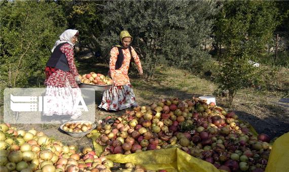 حدود 3 هزار زن روستایی آذربایجان‌غربی عضو صندوق‌های خرد محلات هستند