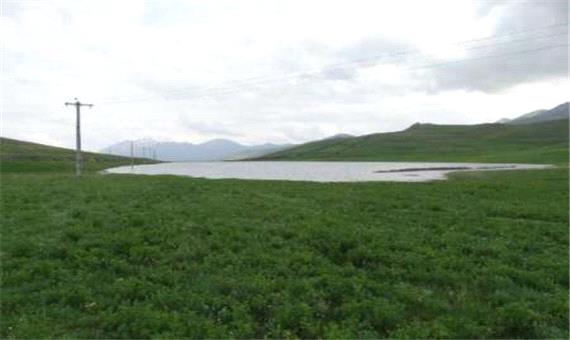 سه تالاب در حوضه دریاچه ارومیه احیا شد