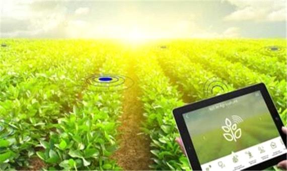 سیستم کشاورزی هوشمند در آذربایجان شرقی راه اندازی می‌شود
