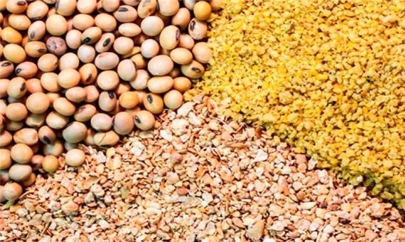 دولت سویا را به قیمت 29 هزار و 633 ریال از کشاورزان خریداری می کند