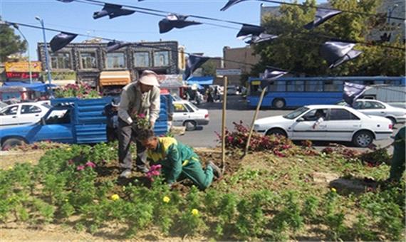 کاشت گل های پاییزی در سطح شهر ارومیه تدوام دارد - پرتال شهرداری ارومیه