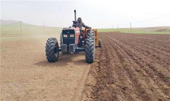 36 هزار هکتار از مزارع آذربایجان‌غربی به کشت جو اختصاص یافت