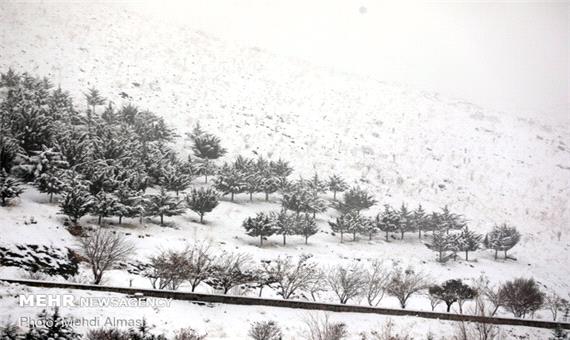 کولاک و یخبندان در راه است/ بارش متناوب برف و باران در اردبیل