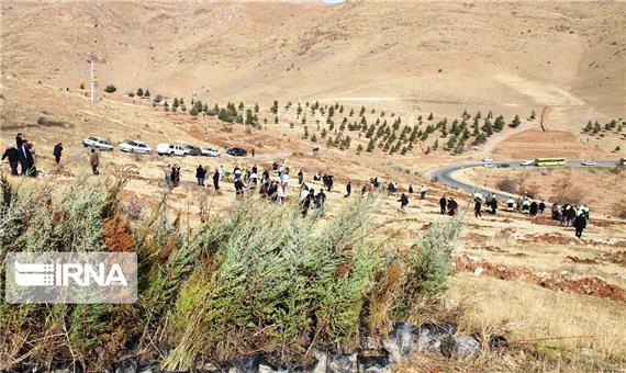 دوستداران طبیعت در مهاباد 1500 اصله نهال غرس کردند