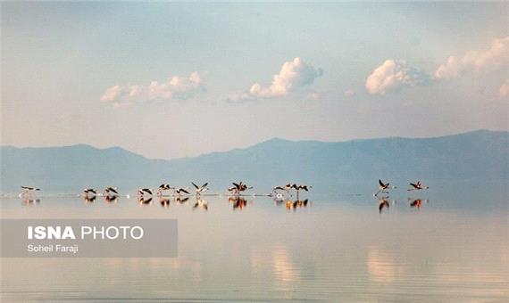 سالانه تراز دریاچه ارومیه نزدیک به یک متر افزایش می‌یابد