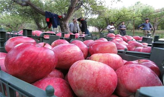 حذف تعرفه صادرات سیب به عراق پیگیری می‌شود
