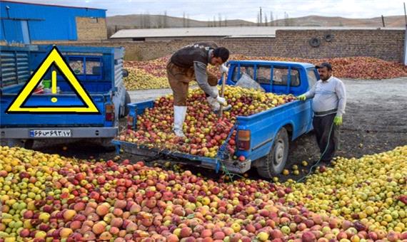 سازمان غذا و دارو: جمع آوری و انباشت سیب صنعتی در معابر ممنوع است