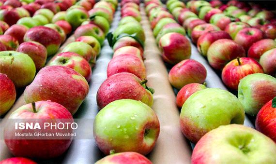 پیش بینی صادرات 175 هزار تن سیب درختی از گمرکات آذربایجان غربی