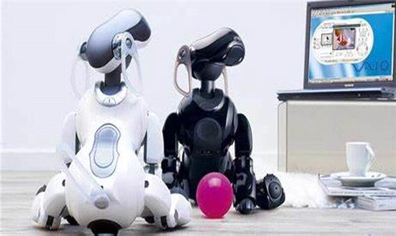 نخستین شتاب دهنده تخصصی رباتیک کشور در آذربایجان‌شرقی راه اندازی می‌شود
