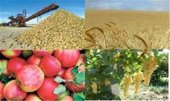 امسال بیش از 6 میلیون تن محصولات کشاورزی در آذربایجان غربی تولید شد