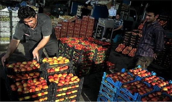 تمهیدات لازم برای تأمین میوه شب عید در اردبیل اندیشیده شده است