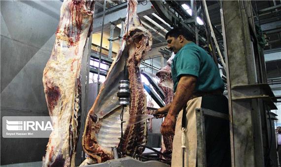 یک هزار و 300 تن گوشت در شهرستان کوثر تولید شد