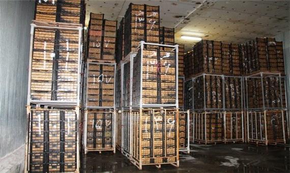 380‌هزار تن سیب در سردخانه های آذربایجان غربی انبار است
