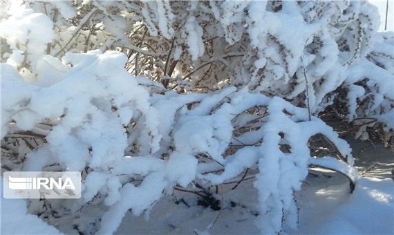 بارش پراکنده برف تا امشب در آذربایجان‌غربی ادامه می‌یابد