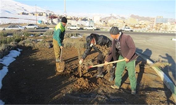 تداوم روند کاشت نهال های مقاوم به کم آبی در سطح شهر - پرتال شهرداری ارومیه