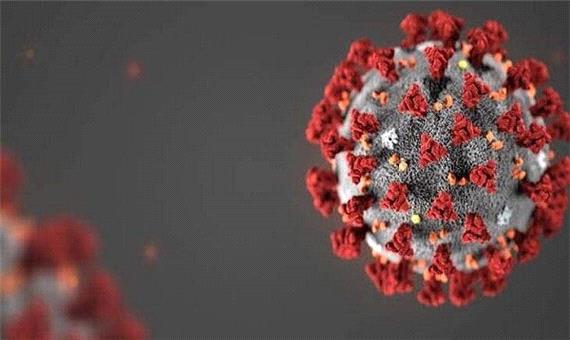 1032نفر در آذربایجان غربی به ویروس کرونا مبتلا شده اند