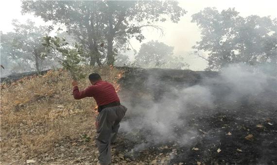 سه نفر در اثر آتش‌سوزی مراتع پاوه جان باختند