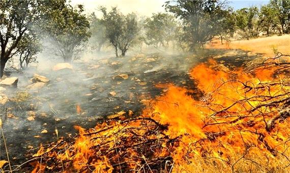 فعالیت 320 نیروی منابع طبیعی برای پیشگیری از آتش‌سوزی در آذربایجان‌غربی