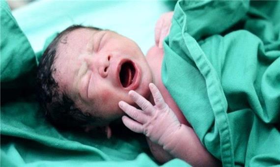 میزان تولد در استان اردبیل کاهش یافت