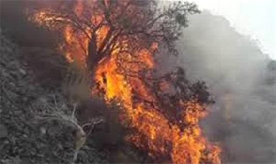 دستگیری 3 نفر از عاملان آتش‌سوزی منطقه جنگلی در نمین