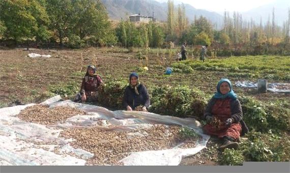 فعالیت 120 صندوق محله برای زنان روستایی در آذربایجان‌غربی