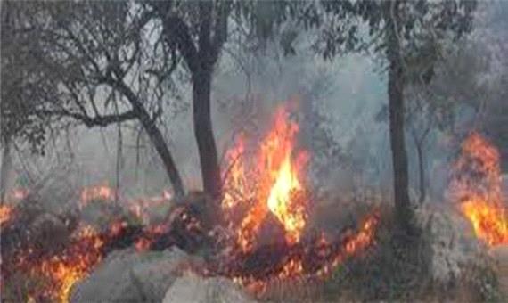 80 درصد آتش سوزی در جنگل های ارسباران خاموش شد