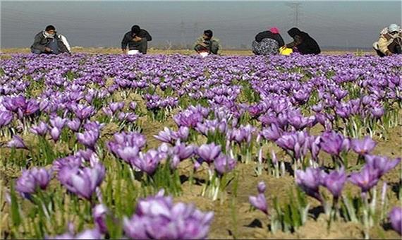 کسب و کارهای زنان روستایی آموزش‌دیده استان اردبیل مورد پایش قرار گرفت
