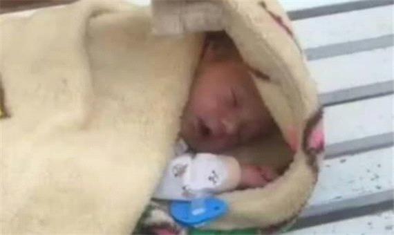 نوزاد رها شده تبریزی در سلامت کامل است