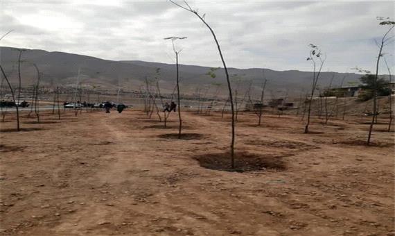 اتمام فاز نخست عملیات درختکاری در بزرگراه شهید نجفی رستگار منطقه 15