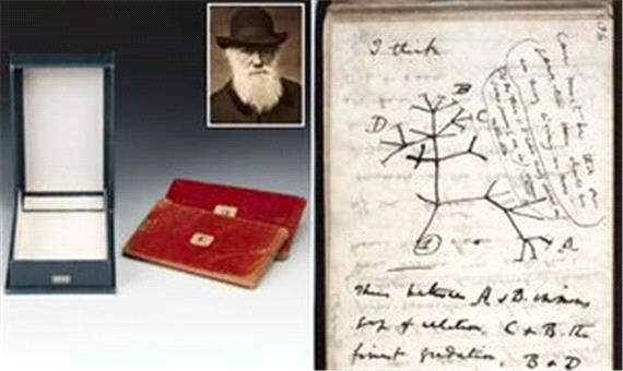 کتاب‌های میلیون دلاری داروین گم شدند/ عکس