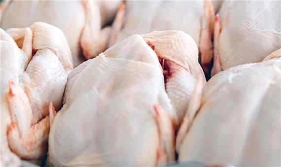 توزیع مرغ منجمد در آذربایجان‌شرقی
