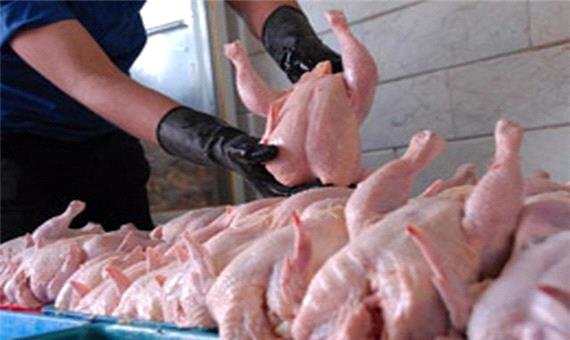 تامین بیش از 40درصد گوشت مرغ استان آذربایجان‌غربی توسط زنجیره‌های یکپارچه تولید