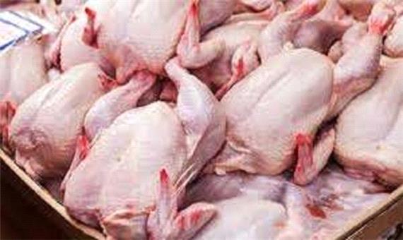 تولید 53 هزار تن گوشت سفید در استان اردبیل