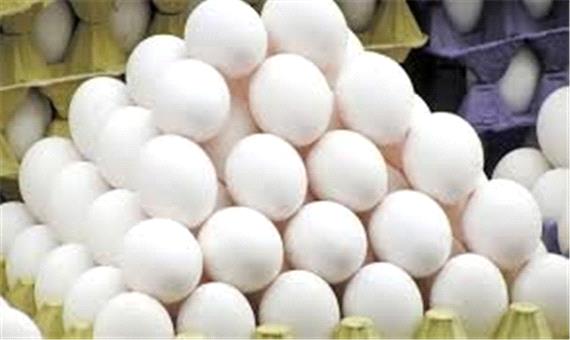 کمبود تخم مرغ در آذربایجان شرقی وجود ندارد