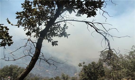 جنگل‌های حیران در آتش/ تردد در محور مواصلاتی اردبیل-آستارا ممنوع شد