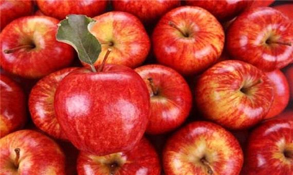 مشکل سیب آذربایجان‌غربی، پیچ و خم رویه‌های گمرکی ‌است