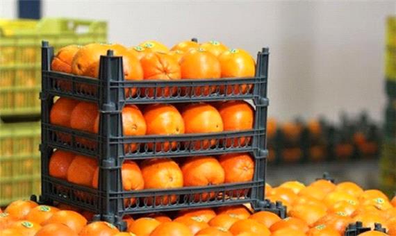 800 تن سیب و پرتقال از 25 اسفند در اردبیل توزیع می‌شود