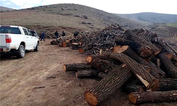 30 تُن چوب قاچاق در مهاباد کشف شد